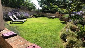 LUlivo nel Borgo B&B