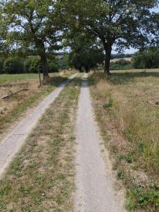 Maisons de vacances Gite 2 a 7 personnes proche Puy du Fou : photos des chambres