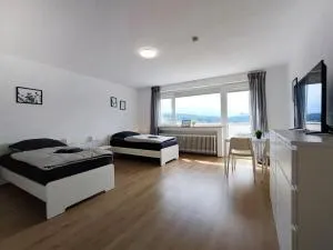 ERB01 - 2-Zimmer-Apartment mit Balkon in Bad König - 巴特柯尼希