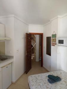 Estudio Caballo-Piscina