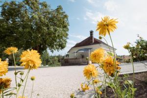 Maisons de vacances Les Deux Delices : photos des chambres