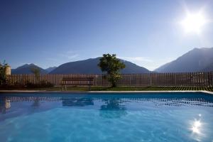 Single Room room in Hotel-Garni Appartement Gartenheim