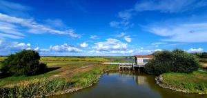 Au cœur du marais breton
