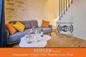 Duplex standing 7min➤Fontainebleau-INSEAD⎮45min➤Paris - Montigny-sur-Loing