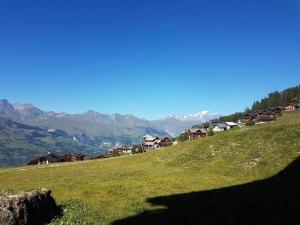 Appartements Paradiski bordure de pistes vallandry : photos des chambres