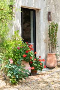 B&B / Chambres d'hotes JK Moulin Paradou : Chambre Lit King-Size Supérieure