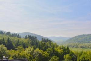 Apartamenty Wilcza Knieja