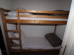 Studio lumineux proche des pistes avec balcon et animaux admis - FR-1-502-474