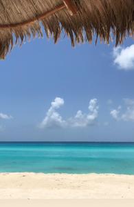 Brisas Shores 07 Beachfront Condo, Pool and garden area, Zona Hotelera Cancun