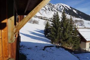 APPARTEMENT PIEDS DE PISTE - 4-6 PERSONNES