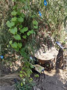 PEQUEÑOVALPO hillside homestay