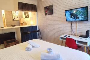 Appartements Cosy-2 pers-Coeur de ville-Proche Bd Pyrenees : Appartement 1 Chambre