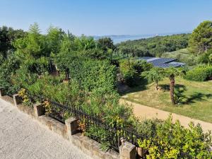 Apartma Na razgledni poti