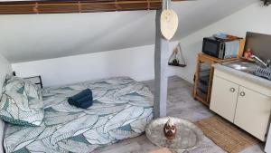 Appartements PROMISE' LANDES : photos des chambres