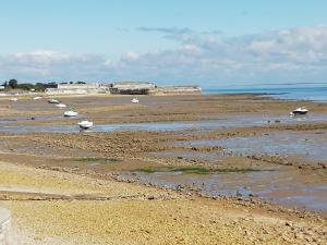 Accès océan sur grand terrain clos