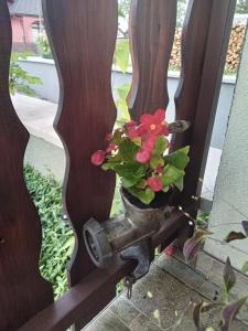 Apartman Bepo 