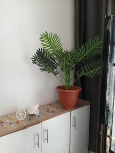 petra sun apartment