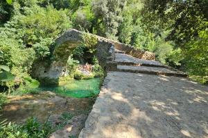 Maisons de vacances Mazet (maisonnette provencale) : photos des chambres