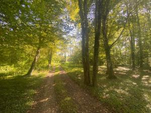 Villas Apatam-Montigny, bord du Loing : photos des chambres