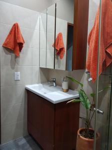 Encantador Apartamento