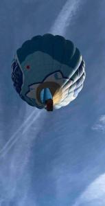 Appartements Praz sur Arly - proche des pistes et de Megeve : photos des chambres