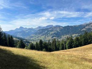 Appartements Praz sur Arly - proche des pistes et de Megeve : photos des chambres