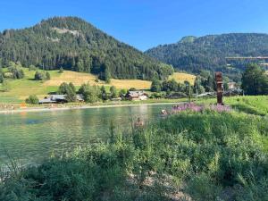 Appartements Praz sur Arly - proche des pistes et de Megeve : photos des chambres