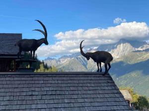 Appartements Praz sur Arly - proche des pistes et de Megeve : photos des chambres