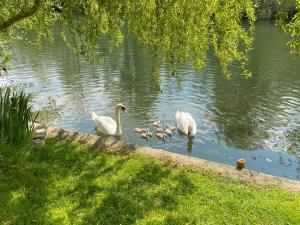 Villas Apatam-Montigny, bord du Loing : photos des chambres