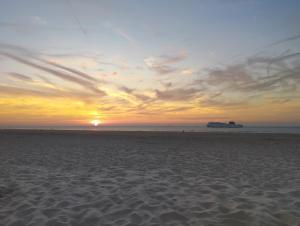 B&B / Chambres d'hotes Le Clos des Mouettes : photos des chambres