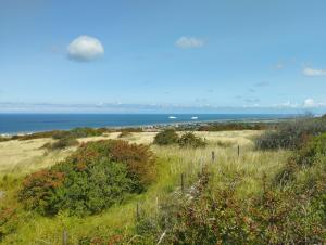 B&B / Chambres d'hotes Le Clos des Mouettes : photos des chambres