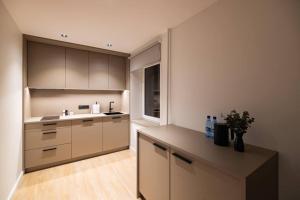 Birzes dzīvoklis (Birzes condo)