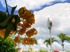 Casa hotel Mateguadua