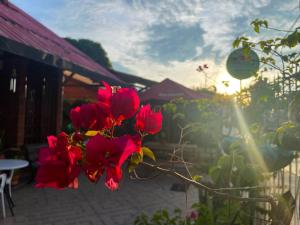 Casa hotel Mateguadua