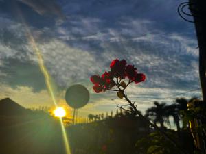 Casa hotel Mateguadua