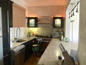 European-Style Luxury Duplex on Maryland Park