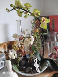 Appartements Chambre privee pour une femme : photos des chambres