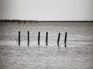 Appartement cosy proche des thermes, animaux admis - FR-1-503-61