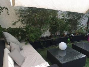 Appartements T3 sur la route des plages, avec terrasse de 25m2 : photos des chambres