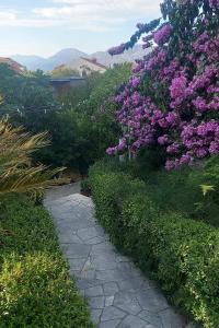 Apartments with parking space Cavtat, Dubrovnik - 2132