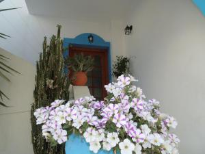 Studios Matina Naxos Greece