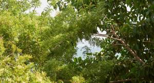 Sunny Beach Oasis, By TimeCooler