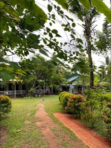 Coconut Grove - Midigama