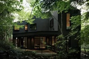 mysa fuji - Narusawa