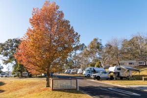 Blackheath Glen Tourist Park