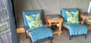 Trees&Seas - Getaway Glamping