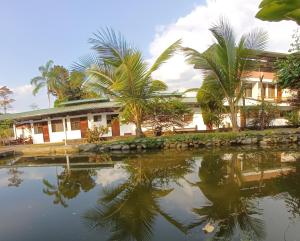 El Cacaotal Finca Faura #5 3H