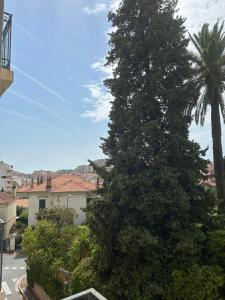 Top emplacement centre Cannes