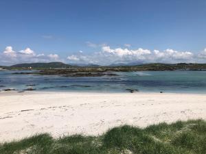 Bruíon Connemara