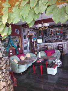 Dream Stone Holiday Bar Restaurant